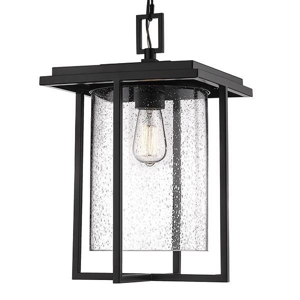 Millennium 2625 1-lt Outdoor Pendant