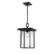 Millennium 2625 1-lt Outdoor Pendant