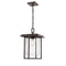 Millennium 2625 1-lt Outdoor Pendant