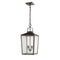 Millennium 2655 2-lt Outdoor Pendant