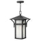 Hinkley 2572 Harbor 1-lt 11" LED Outdoor Pendant