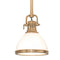 Hudson Valley 2621 Randolph 1-lt 7" Pendant