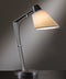 Hubbardton Forge 272860 Reach 1-lt 22" Tall Table Lamp