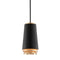 Troy F5541 Fahrenheit 1-lt 8" LED Pendant