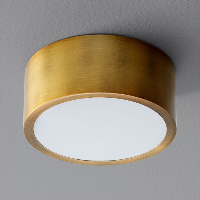 3-600 Peepers 1-lt LED Ceiling Mount