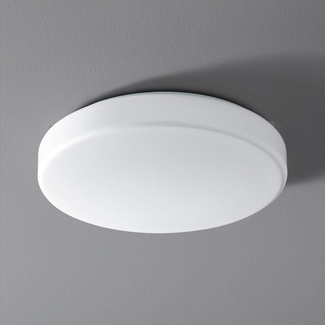 3-649 Rhythm 2-lt LED Ceiling Mount