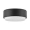 Hinkely 30073 Cedric 2-lt 12" LED Flush Mount