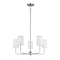 Sea Gull 3109305 Foxdale 5-lt 26" Chandelier