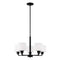 Sea Gull 3128805 Canfield 5-lt 24" Chandelier
