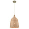 ELK 31643 Pleasant Fields 1-lt 12" Mini Pendant
