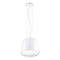 Eurofase 31868 Corson 1-lt 10" Pendant
