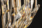 Maxim 32404 Bouquet 4-lt 16" Pendant