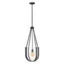Hinkley 33204 Vaso Medium 1-lt 14" LED Pendant