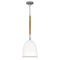 Hinkley 3364 Nash 1-lt 10" LED Pendant