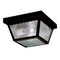 Kichler 345 Miscellaneous 2-lt Outdoor Flush Mount