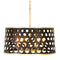 Varaluz 346P06 Bailey 6-lt 24" Pendant