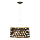 Varaluz 346P06 Bailey 6-lt 24" Pendant
