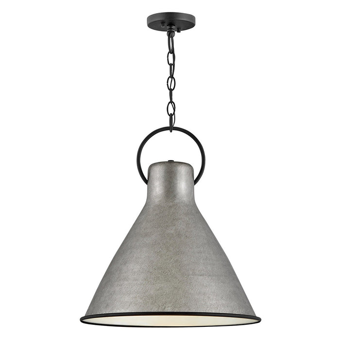 Hinkley 3555 Winnie Medium 1-lt 18" LED Pendant