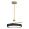 Eurofase 37083 Pemberton 18" Integrated LED Pendant