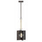 Hinkley 41317 Ludlow 1-lt 12" LED Pendant