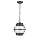 Millennium 4172 Aremelo 1-lt 10" Outdoor Pendant
