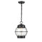Millennium 4172 Aremelo 1-lt 10" Outdoor Pendant