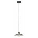 Hinkley 4367 Rigby 1-lt 10" Pendant
