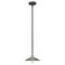 Hinkley 4367 Rigby 1-lt 10" Pendant