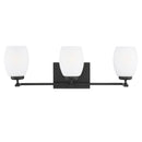 4418503 Catlin 3-lt 24" Wall / Bath Sconce