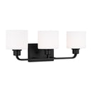 Sea Gull 4428803 Canfield 3-lt 23" Wall / Bath