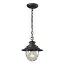 ELK 45041 Searsport 1-lt 8" Outdoor Pendant
