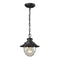 ELK 45041 Searsport 1-lt 8" Outdoor Pendant