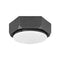 Hinkley 4581 Hex 13” Wide Flush Mount - LBC Lighting