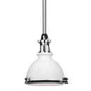 Hudson Valley 4610 Massena 1-lt 10" Pendant