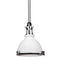 Hudson Valley 4610 Massena 1-lt 10" Pendant