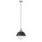 Hinkley 4834 Fletcher 2-lt 14" LED Small Pendant