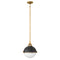 Hinkley 4834 Fletcher 2-lt 14" LED Small Pendant