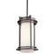 Kichler 49348 Pacific Edge 1-lt Outdoor Hanging Pendant