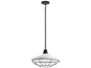 Kichler 49993 Pier 16" Wide Outdoor Convertible Pendant