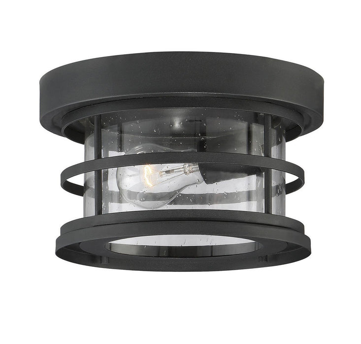 Savoy House 5-369-10 Barrett 1-lt 10" Outdoor Ceiling Light