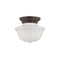Hudson Valley 5009F Dutchess 9" 1-lt Semi-Flush