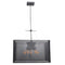 Access 50926 Epic 5-lt Pendant