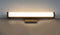 Maxim 52000 Spec 1-lt 18" LED Bath Vanity