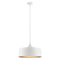 Kichler 52097 Elias 1-lt 15" Tall Convertible Pendant