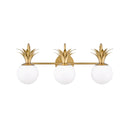 Hinkley 54153 Palma 3-lt 24" LED Vanity