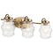 Kichler 55039 Janiel 3-lt 24" Wide Vanity Light