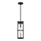 Sea Gull 6226701EN7 Alcona 1-lt 7" LED Outdoor Pendant