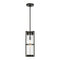 Sea Gull 6226701EN7 Alcona 1-lt 7" LED Outdoor Pendant