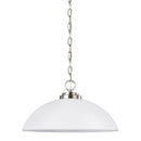 Sea Gull 65160 Oslo 1-lt 16" Pendant