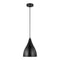 Sea Gull 6545301 Oden 1-lt 9" Pendant